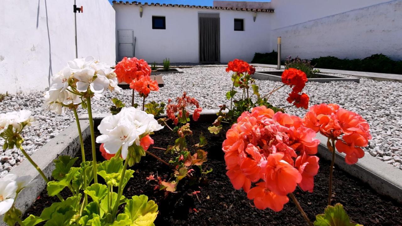 Casa Dos Vizinhos - Casas De Taipa Villa Sao Pedro do Corval ภายนอก รูปภาพ